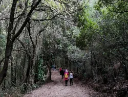 Trekking to Vagoni Path & San Giovanni Caves